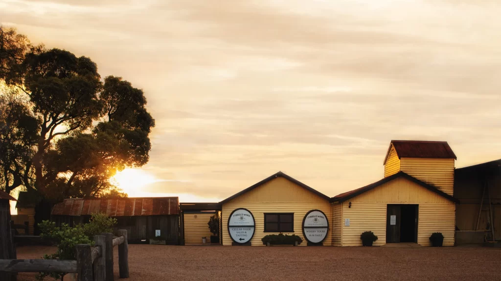 Tyrells Wine Cellar